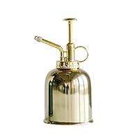Algopix Similar Product 2 - Creative CoOp Metal Plant Mister