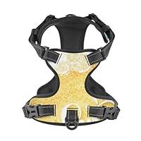 Algopix Similar Product 14 - Xiso Ver Summer Beach Dog Harness