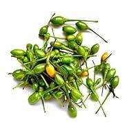 Algopix Similar Product 6 - Cardenas, Chile Chiltepe