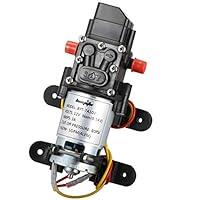 Algopix Similar Product 20 - bayite 12V DC Fresh Water Pressure