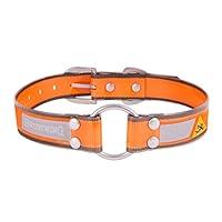 Algopix Similar Product 16 - Browning Performance Dog Collar 