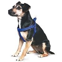 Algopix Similar Product 9 - Ancol Padded Nylon Dog Harness Blue M