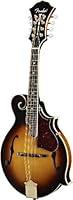 Algopix Similar Product 4 - Fender FM63S Mandolin F Style