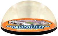 Algopix Similar Product 7 - NCAA Florida Gators The Swamp  in 2