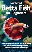 Algopix Similar Product 19 - Betta Fish for Beginners The Ultimate