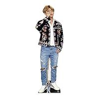 Algopix Similar Product 9 - STAR CUTOUTS CS746 V Lifesize Cardboard
