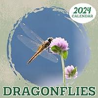 Algopix Similar Product 18 - Dragonflies Calendar 2024 12Month