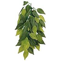 Algopix Similar Product 13 - Trixie 76239 Silky Hanging Ficus Plant
