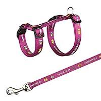 Algopix Similar Product 9 - Trixie Nylon Harness and Lead Set for