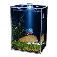 Algopix Similar Product 20 - RENEESME Fish Tabk Small Super