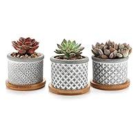 Algopix Similar Product 14 - T4U 25 Inch Cement Succulent Pot with