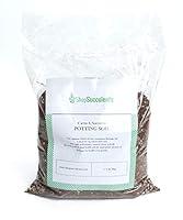 Algopix Similar Product 1 - Shop Succulents  Succulent  Cactus