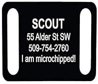 Algopix Similar Product 5 - GoTags Pet ID Personalized SlideOn