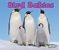 Algopix Similar Product 9 - Bird Babies (Animal Babies)