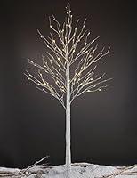 Algopix Similar Product 8 - LIGHTSHARE 8FT 132 LED Birch