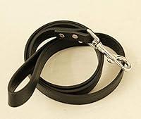 Algopix Similar Product 13 - Black dog Leash Pet accessory Leather