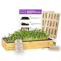 Algopix Similar Product 8 - HAMAMA Microgreens Growing Kit Broccoli