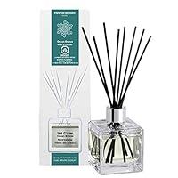 Algopix Similar Product 19 - MAISON BERGER Ocean Breeze Reed