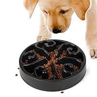 Algopix Similar Product 11 - JASGOOD Slow Feeder Dog Bowl Slow Eat