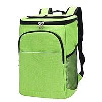 Algopix Similar Product 5 - LIXIAQ 20L Can Cooler Bag with