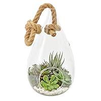 Algopix Similar Product 13 - Arcadia Garden Products TE23 Hanging