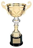 Algopix Similar Product 4 - Cup Trophy Gold and Silver  Metal Cup