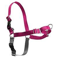 Algopix Similar Product 3 - PetSafe Easy Walk Dog Harness No Pull