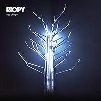 Algopix Similar Product 6 - Summer Night