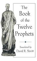 Algopix Similar Product 16 - The Book of the Twelve Prophets