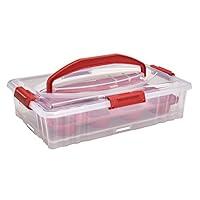 Algopix Similar Product 8 - Buddeez Cupcake And Cake Carrier 
