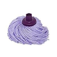 Algopix Similar Product 17 - Rayen 042241 Merys Microfiber Mop