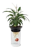 Algopix Similar Product 5 - PennPlax APON1 Aquaponic Planter and