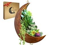 Algopix Similar Product 10 - Hanging Moon Planter  Moms Day Gifts