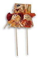 Algopix Similar Product 12 - Scarecrow Picks for Fall Floral Crafts