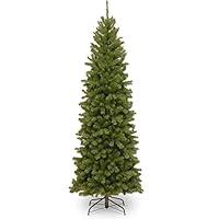 Algopix Similar Product 20 - National Tree Company PreLit