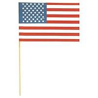 Algopix Similar Product 19 - American Party Flag, 6" x 9"