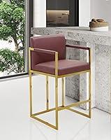 Algopix Similar Product 12 - Iconic Home Quest Counter Stool Chair