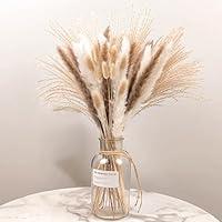 Algopix Similar Product 8 - Dried Pampas Grass Decor 100 PCS