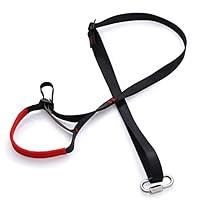 Algopix Similar Product 20 - Wildken Adjustable Climbing Ascender