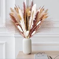 Algopix Similar Product 6 - Boho Home Dried Pampas Grass Decor 110