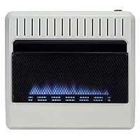 Algopix Similar Product 7 - Avenger Dual Fuel Ventless Blue Flame