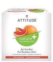 Algopix Similar Product 17 - ATTITUDE Natural Air Purifier with