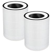 Algopix Similar Product 8 - True HEPA KILO Filter Replacement for