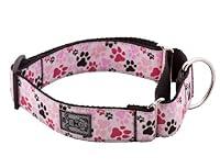 Algopix Similar Product 1 - RC Pet Products 112Inch All Webbing