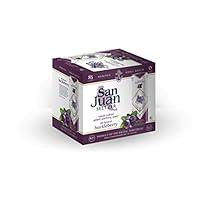 Algopix Similar Product 10 - San Juan Seltzer Huckleberry Hard