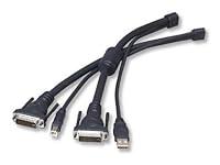 Algopix Similar Product 13 - Belkin Omniview SOHO KVM Cable USB DVI