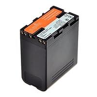 Algopix Similar Product 8 - Jupio Digital Camcorder Replacement