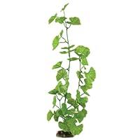Algopix Similar Product 8 - Aqueon Geranium Aquarium Plant, 16-Inch