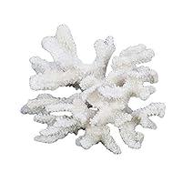 Algopix Similar Product 18 - Beachcombers SSBCS01032 Coral