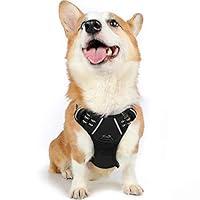 Algopix Similar Product 13 - rabbitgoo Dog Harness NoPull Pet